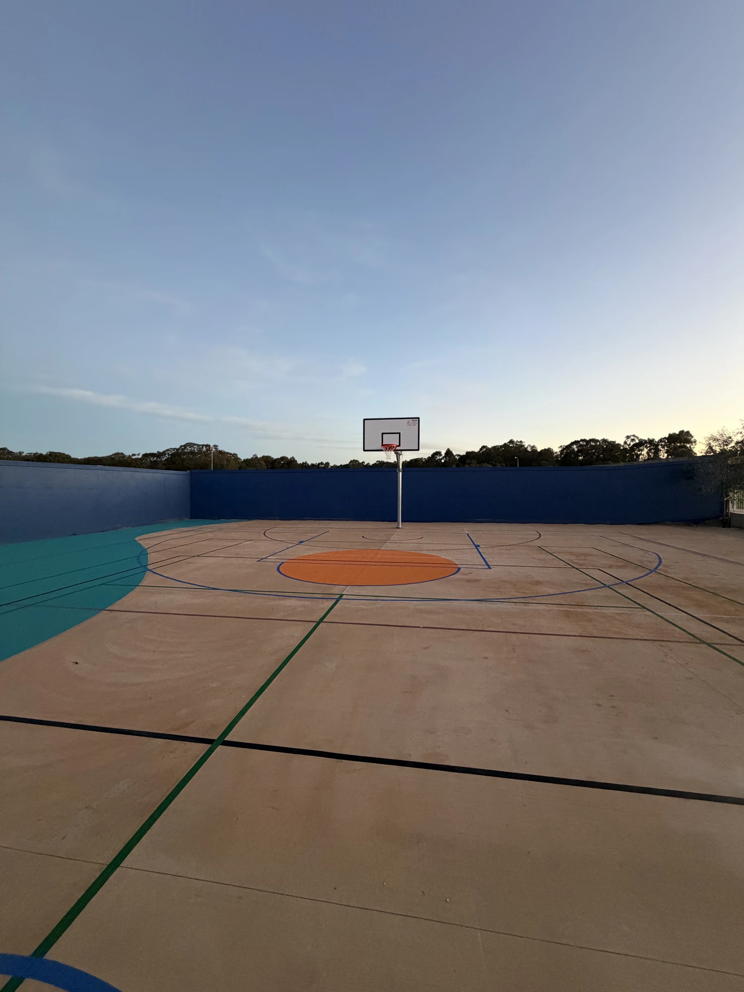 Real Speedy court project